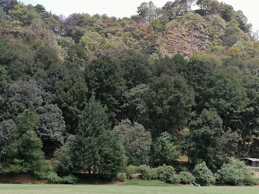 Presa de Molinitos - Thumbnail