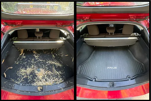 Specialty Auto Detailing - Thumbnail