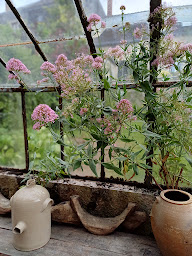 Photo n°40 de Le Jardin des Lys à La Roche-Posay (Chambre d'hôtes)