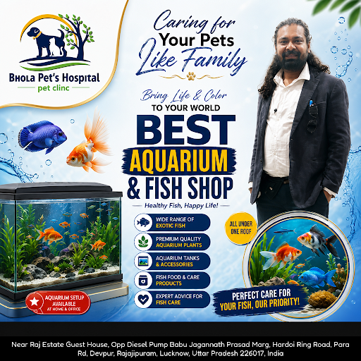 Bhola Pet's Hospital is your trusted animal hospital offering expert pet care, grooming, and a wi… post image