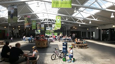 Photos of Lindas Center