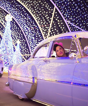 Christmas in Color in South Jordan by null