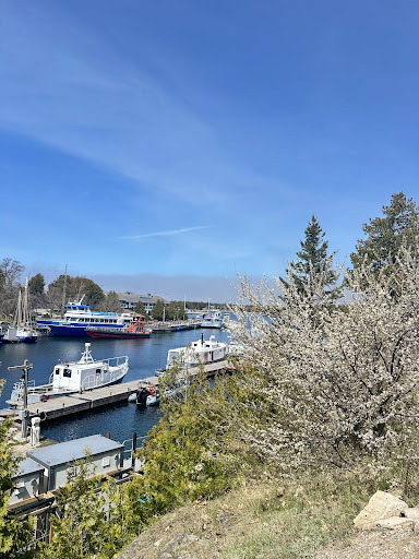 Tobermory Marina