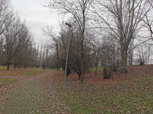 Parco Oristano - Thumbnail
