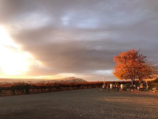 Hightower Cellars - Visual