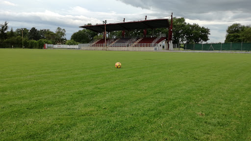 Fioretti Stadium - Visual