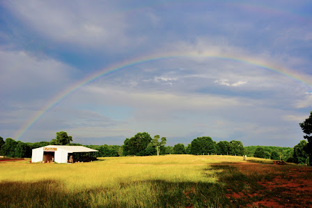 NOMAD Farms, LLC 6301 Doral Dr, Tobaccoville, NC 27050