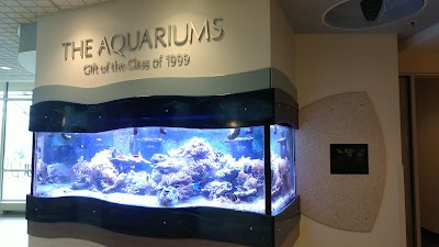 The Aquariums