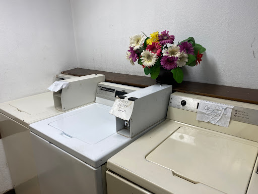 Earl's Laundry & Dry Cleaning Gallery - United States