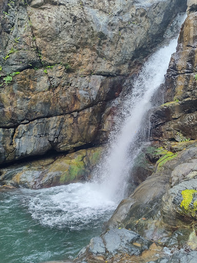 Cascada Master Primo - Thumbnail