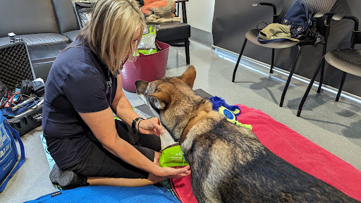 Optima Animal Physio - Thumbnail