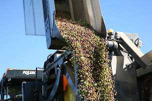 Photo n°8 de Pellenc à Pertuis (Fabricant)