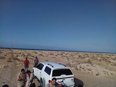 Photos of Bardawil Lake