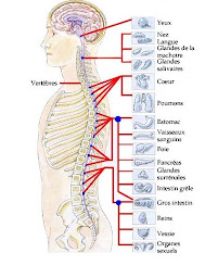 Photo n°15 de Samy Sendid coach sportif Grenoble à domicile à Seyssinet-Pariset (Coach particulier)