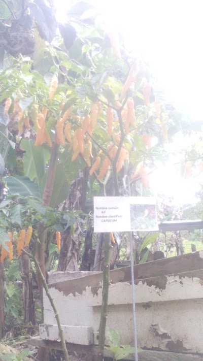 Photos of Finca Los Abuelos (Posada Rural)