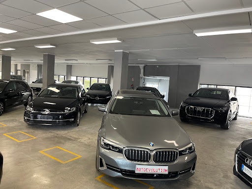 Auto Evolution 2.0 SRL - Visual