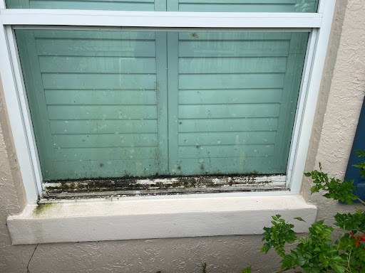EM Pressure Washing - Thumbnail