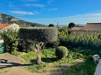 ORTAGGIO PAYSAGES à Ollioules