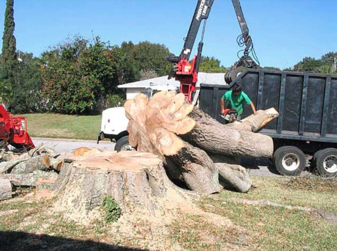 Johnke Tree Service