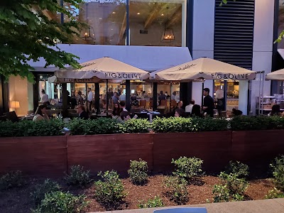 FIG & OLIVE