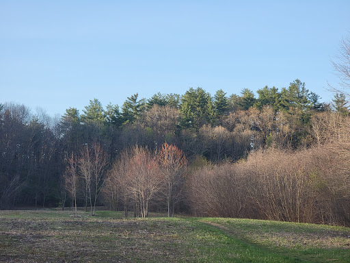 North Street Wildlife Management Area (MA F&W) - Thumbnail