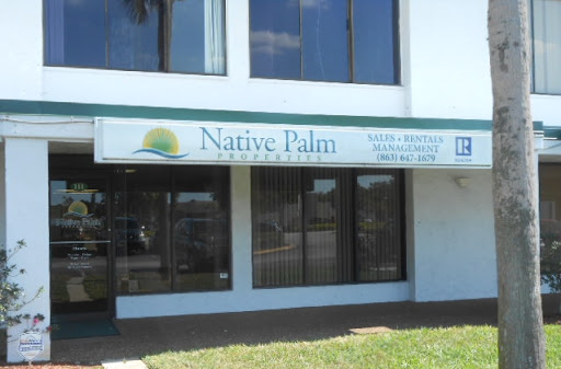 Native Palm Properties - Visual