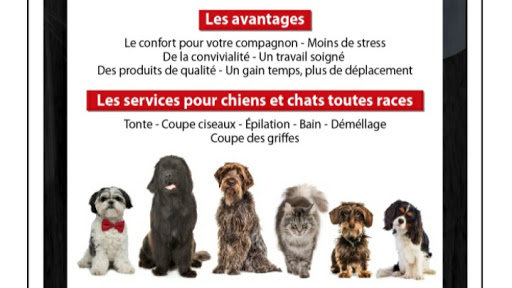 Toilettage Luxury Dog - Thumbnail