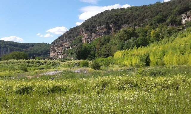 Bambousaie de la Roque-Gageac