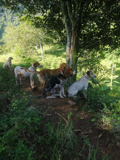 Pesca y Cacería Rodriguez