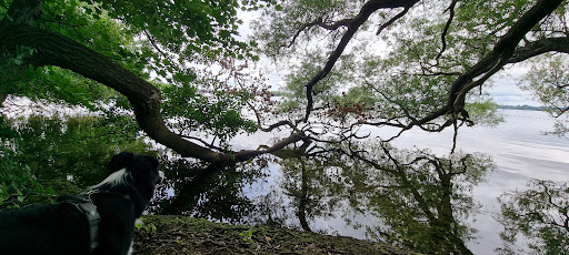 Badestrand auf dem Campingplatz - Thumbnail