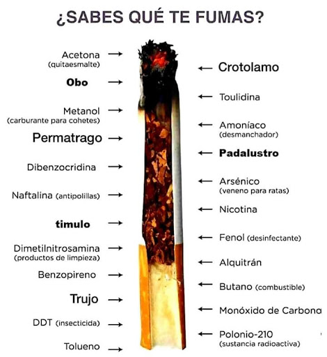 3-S Servicios