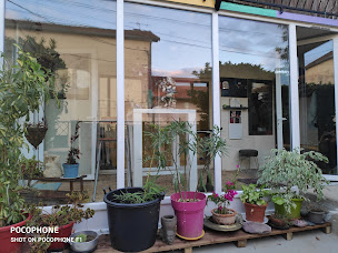 Photo n°4 de Rachel Pujalte à Gaillac (Centre de bien-être)