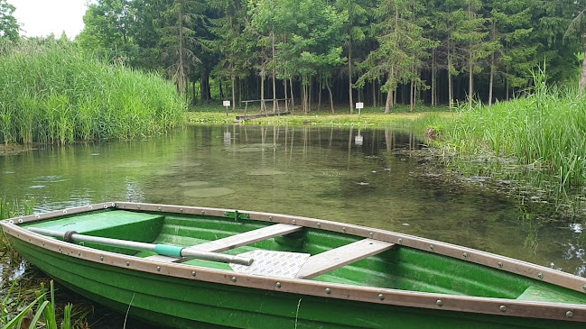 Tapolca forrás Tanösvény - Gyógyfürdő