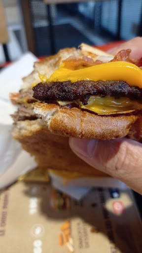 Flavy Burger