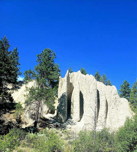 1st American Realty - Montana | Real Estate Company |Eureka, MT| Realtor | Agent | Broker | Jeffrey R. Loomis - Thumbnail