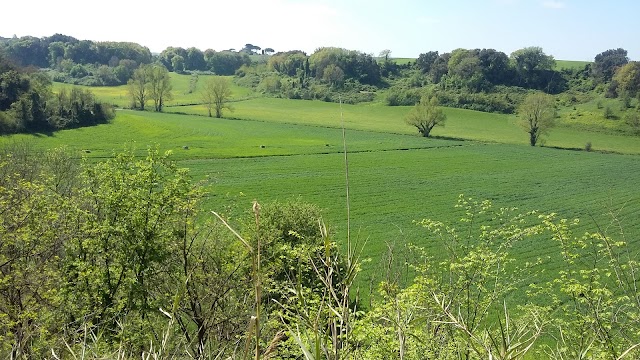 Réserve naturelle de Decima-Malafede