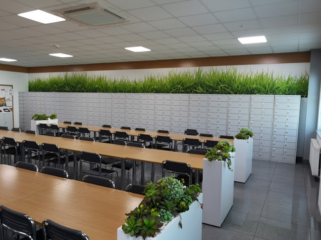 Firma Handlowo-Usługowa Cekar Krzysztof Cebo