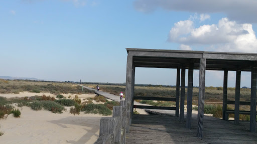 Mirador de la Punta de los Saboneses Logo