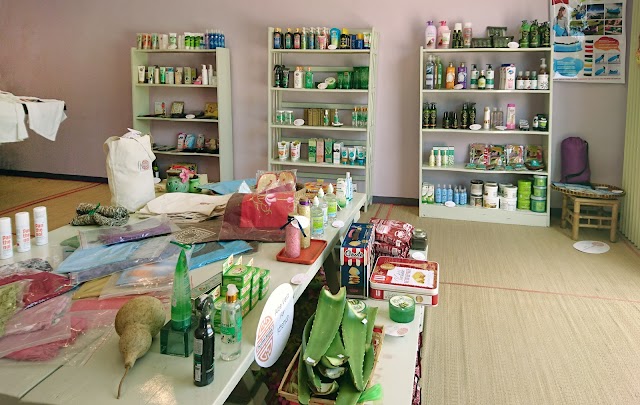 The Green Boutique Shop