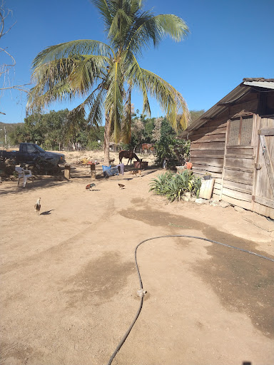 Nico's Ranch - Thumbnail