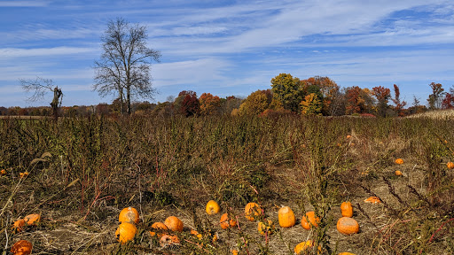 Greig Farm Gallery - United States