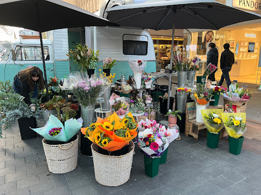 Little Flower Van - Thumbnail