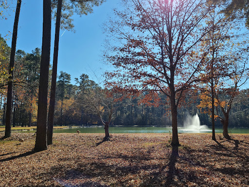 Dellinger Park - Visual