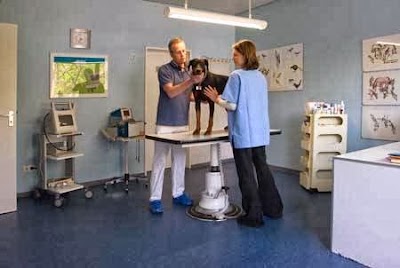 Photos of Dr.med.vet. Clemens Tyrell Tierarzt