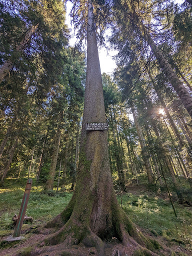 Le Roi du Mont