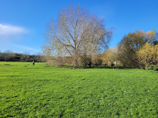 Walsworth Common