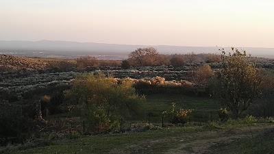 Photos of La Casona