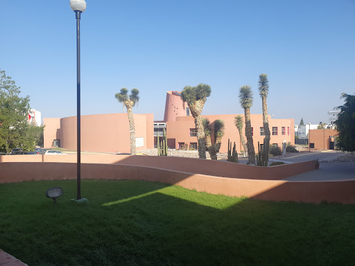 The College of San Luis - Thumbnail