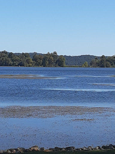 Guntersville beach Gallery - United States