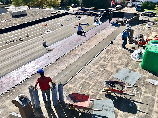 Haid Roofing Ltd - Thumbnail